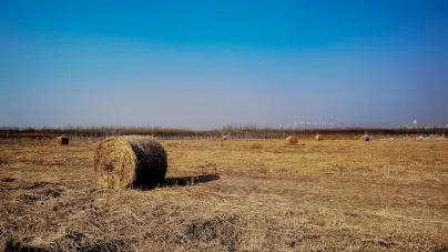 Casholot Casino App Mobile